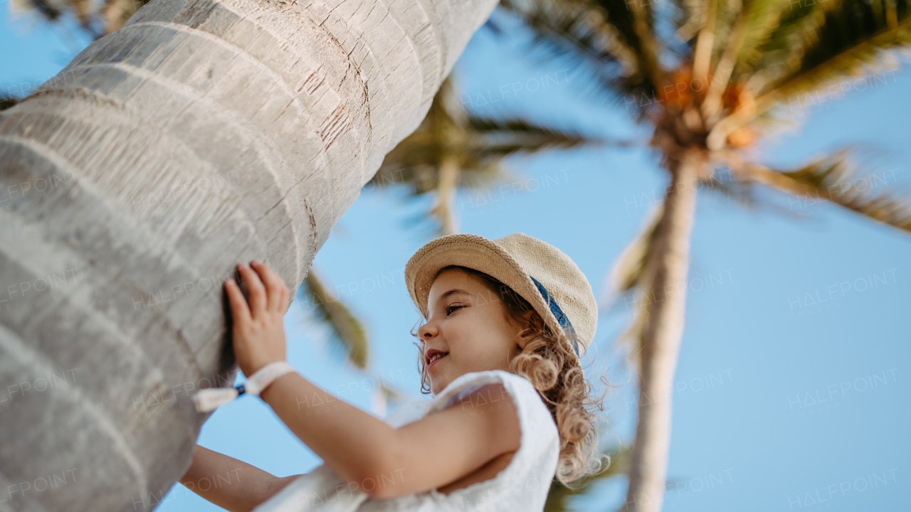 Happy little girl hugging palm tree during the tropical vacation.