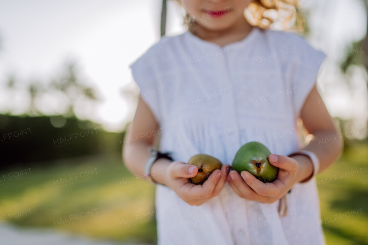 Little girl posing with an exotic fruit, enjoying time at tropical vacation.