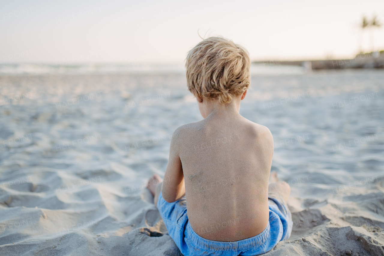 Little boy playing on a beach, rear view.