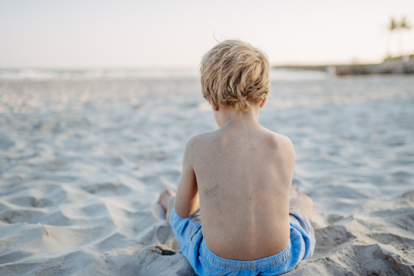 Little boy playing on a beach, rear view.