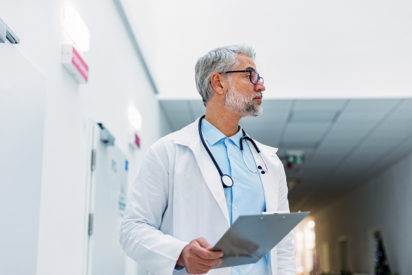 Portrait of mature doctor in hospital corridor. Handsome doctor with gray hair wearing white coat, stethoscope around neck standing in modern private clinic.