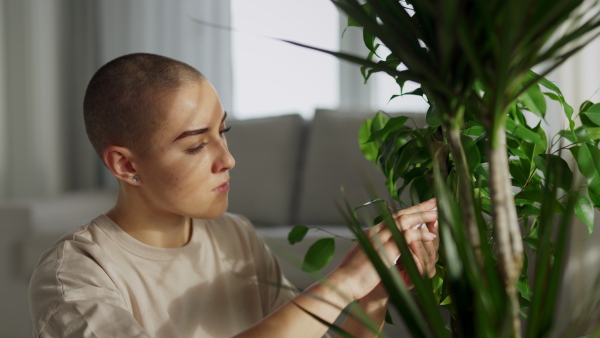 Young woman with cancer taking care of plants in the apartment.