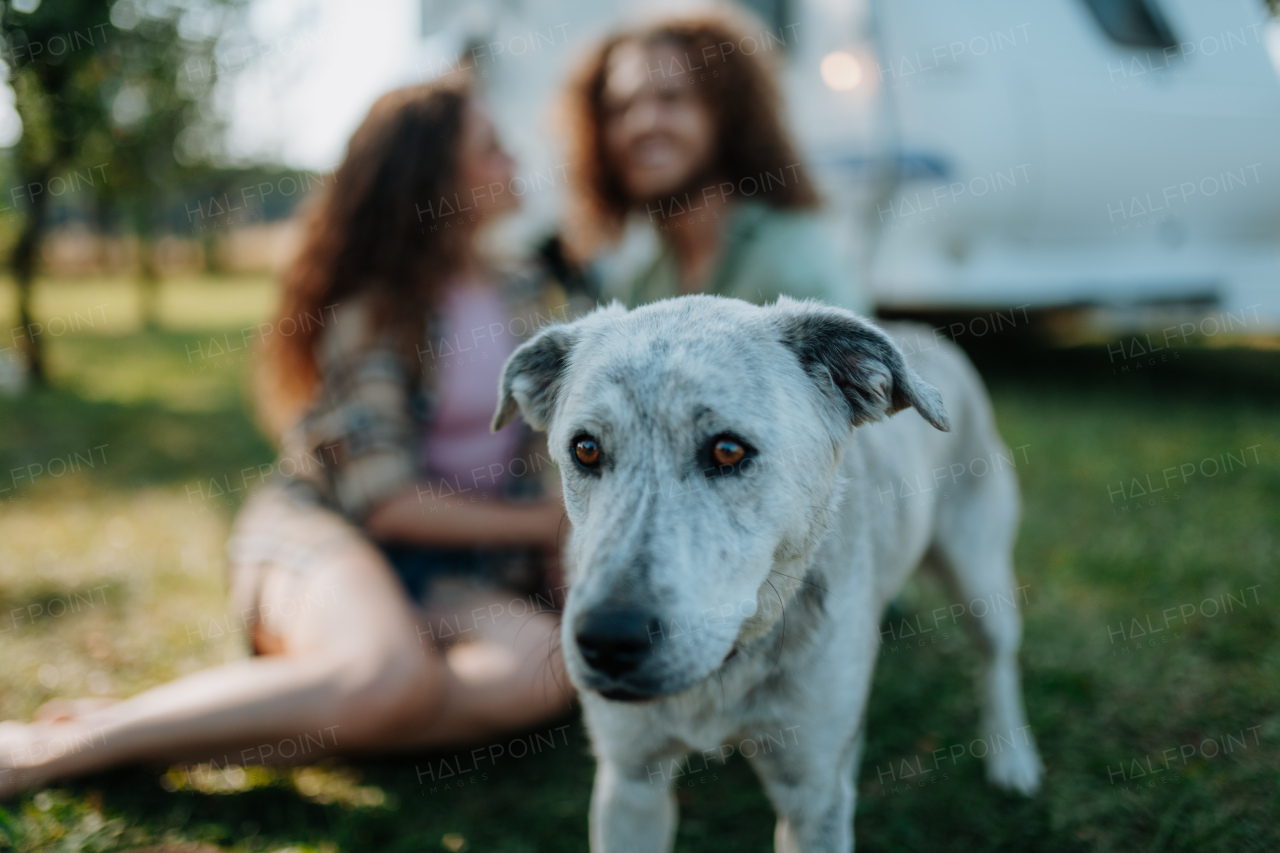 Young couple and dog are on a camping trip in nature, sitting in front of caravan, camper. Caravan traveling for young people