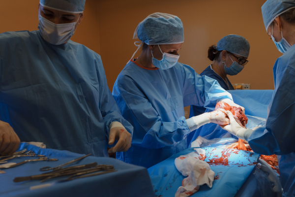 Delivery of baby by c-section. Gynecologist, obstetricians and nurses as medical team during cesarean childbirth. Team of doctors performing surgery, operation. Modern Maternity hospital.