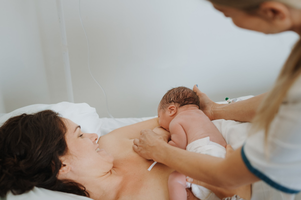 Lactation consultant helping with breastfeeding newborn baby, latching, feeding on first milk, colostrum. Happy mother bonding with newborn baby right after birth. Skin to skin contact.