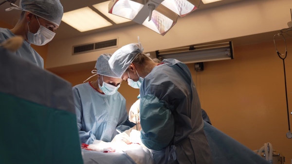 Delivery of of placenta after c-section childbrid. Gynecologist, obstetricians and nurses as medical team during cesarean section. Team of doctors performing surgery. Modern Maternity hospital.