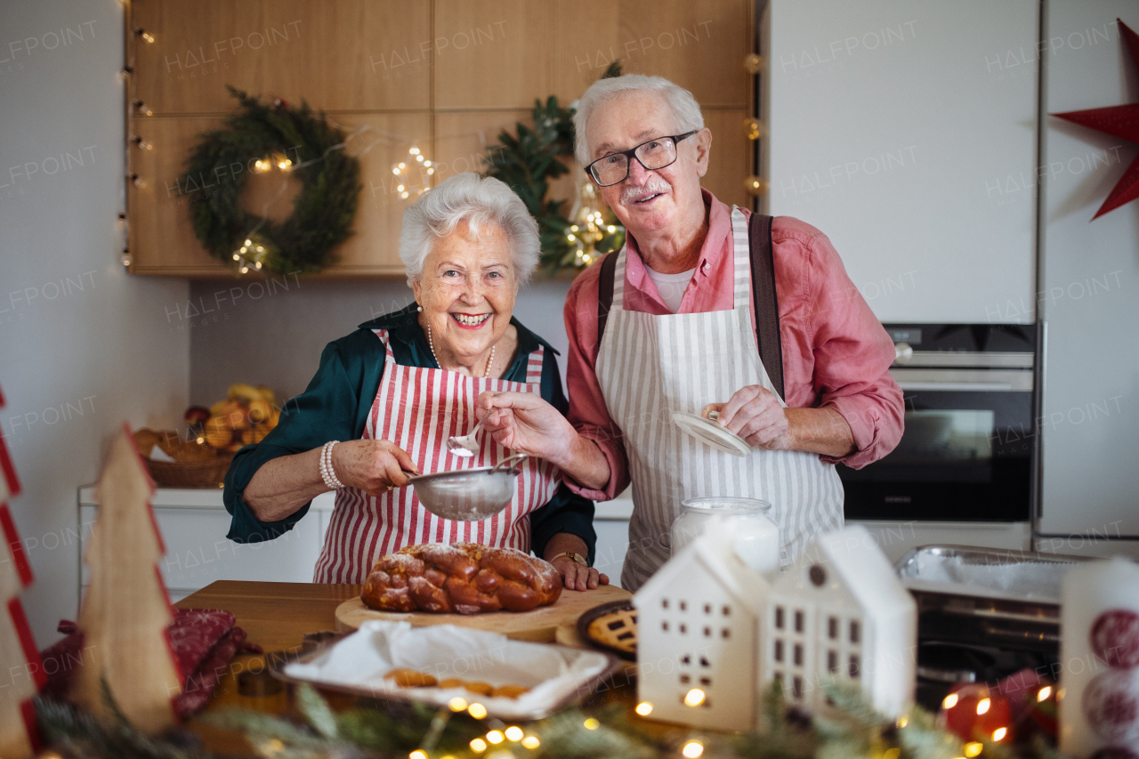 Happy seniors baking Christmas cakes together.