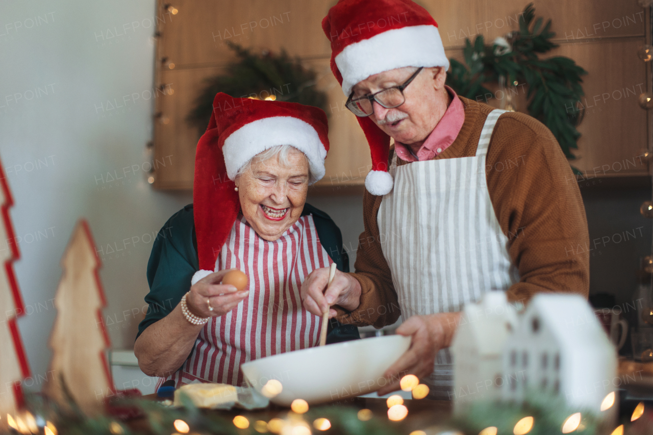 Happy seniors baking Christmas cakes together.