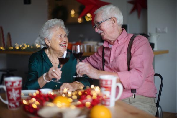 Happy senior couple celebrating New Year eve together.