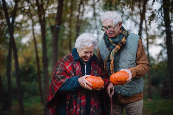 Senior couple with pumpkins in autumn nature.