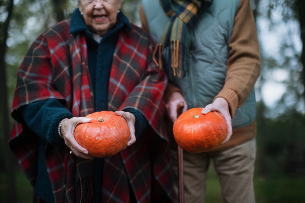 Senior couple with pumpkins in autumn nature.