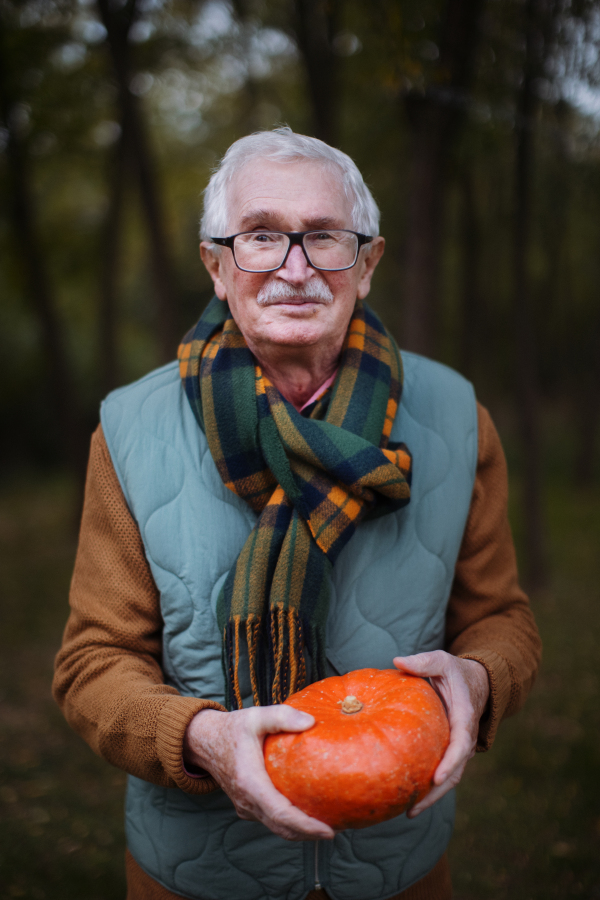 Senior man with pumpkins in autumn nature.