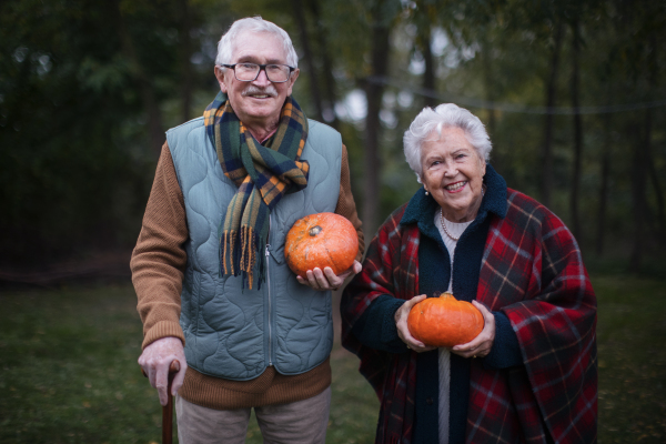 Senior couple with pumpkins in autumn nature.