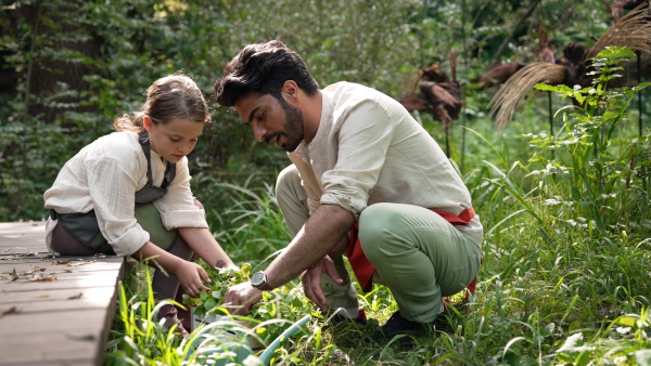 Video of adult volunteer with his daughter taking care of plants in their community space.