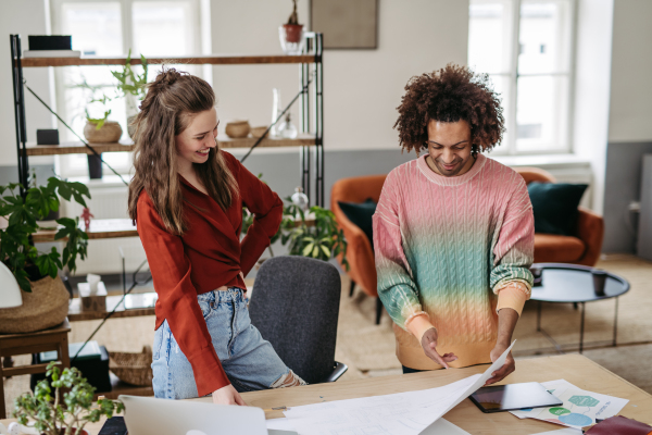 Young colleagues working together in a startup company.