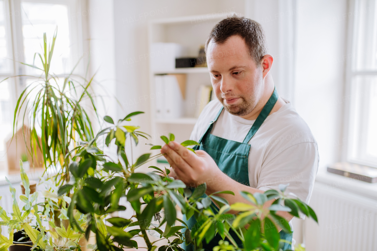 Young man with Down syndrome taking care of plants, working as sales man in fowershop.