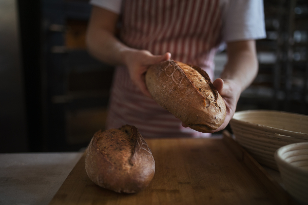 Close-up of baker with fresh just baked bread.