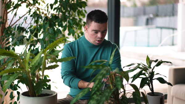 Video of young man with Down syndrome in the middle of houseplants. Taking care of indoor plant, touching and snuggling plant leaf.