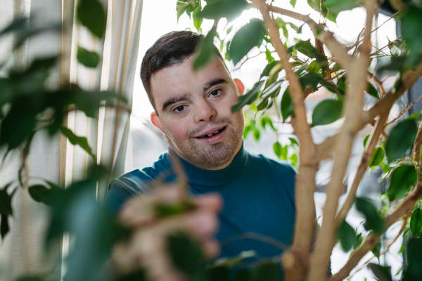 Portrait of young man with Down syndrome in the middle of houseplants. Taking care of indoor plant, touching and snuggling plant leaf.