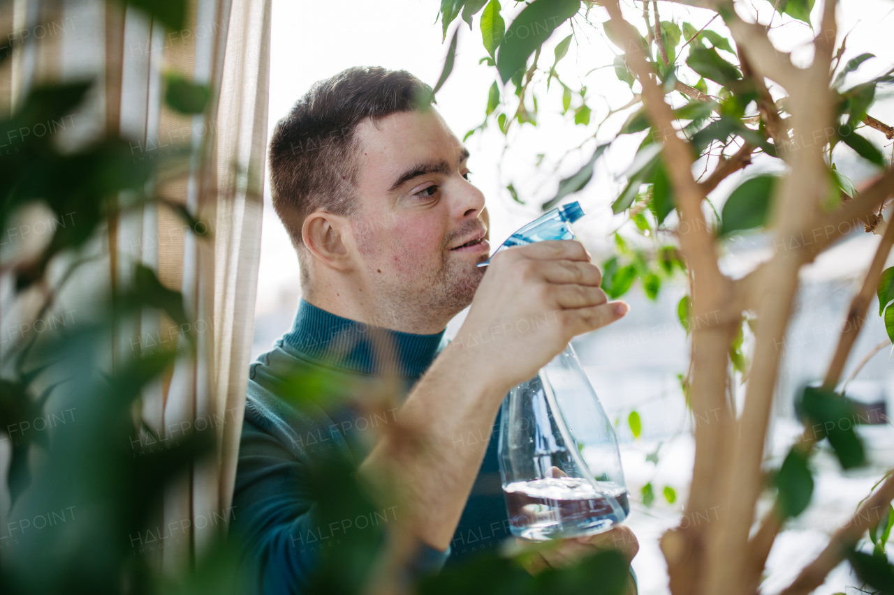 Young man with Down syndrome taking care of indoor plant, touching and snuggling plant leaf.