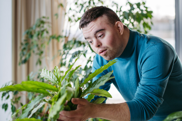 Young man with Down syndrome taking care of indoor plant, touching and snuggling plant leaf.