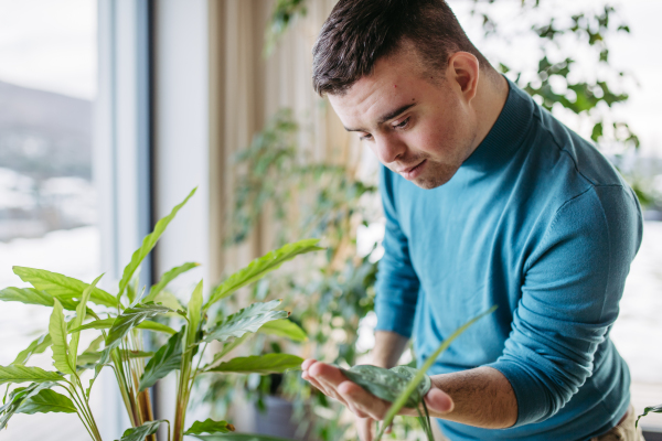 Young man with Down syndrome taking care of indoor plant, very carefull ytouching and snuggling plant leaf.