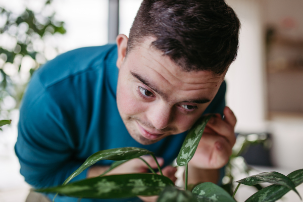 Young man with Down syndrome taking care of indoor plant, touching and snuggling plant leaf.