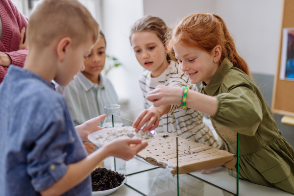 Happy children making little greenhouse, learning about planting.