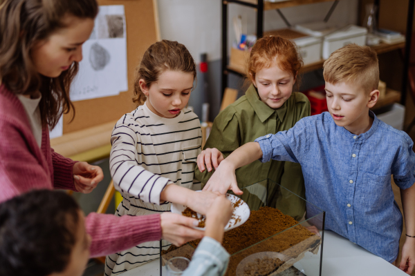 Young teacher making a little greenhouse with their pupils, learning them about planting.