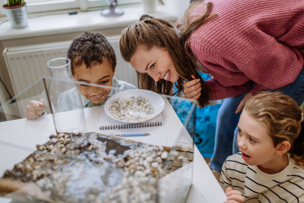 Young teacher making a little greenhouse with their pupils, learning them about planting.