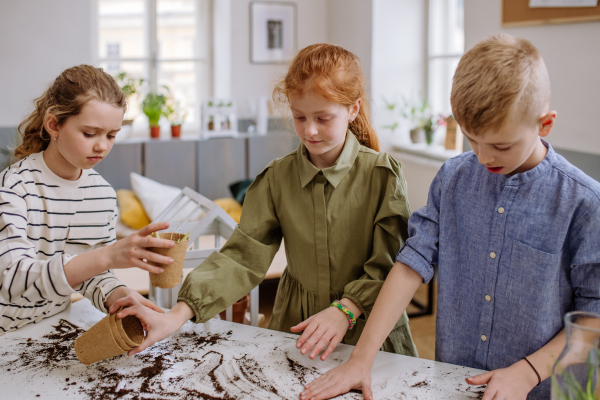 Young pupils taking care and replanting plants in a school.