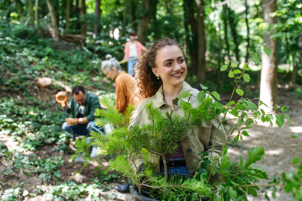 Portrait of beautiful female volunteer holding pine tree sapling, working in forest. Volunteering for a tree planting.