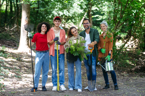 Group portrait of volunteers holding pine tree saplings and tools, working in forest. Volunteering for a tree planting.