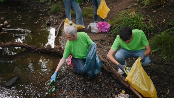 Group of volunteers picking trash, removing litter stream in forest, protecting nature and wildlife. Forest cleanup. Environmental education program by local community.