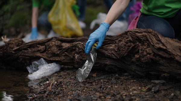 Group of volunteers picking trash, removing litter stream in forest, protecting nature and wildlife. Forest cleanup. Environmental education program by local community.