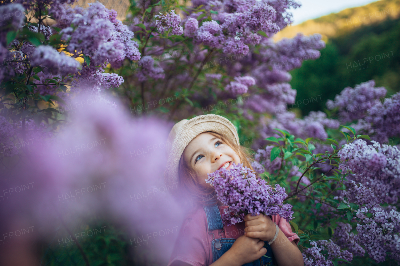 A portrait of a cheerful little girl in nature blooming lilac-purple meadow.