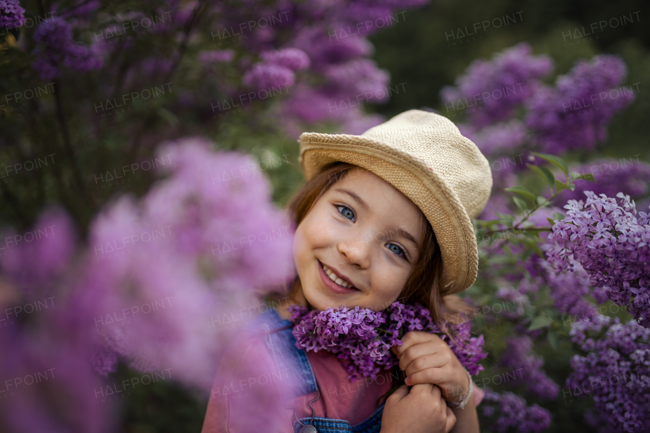 A portrait of a cheerful little girl in nature blooming lilac-purple meadow.