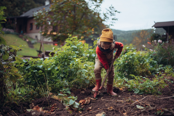 A litlle girl taking care of vegetable garden, spading soil.