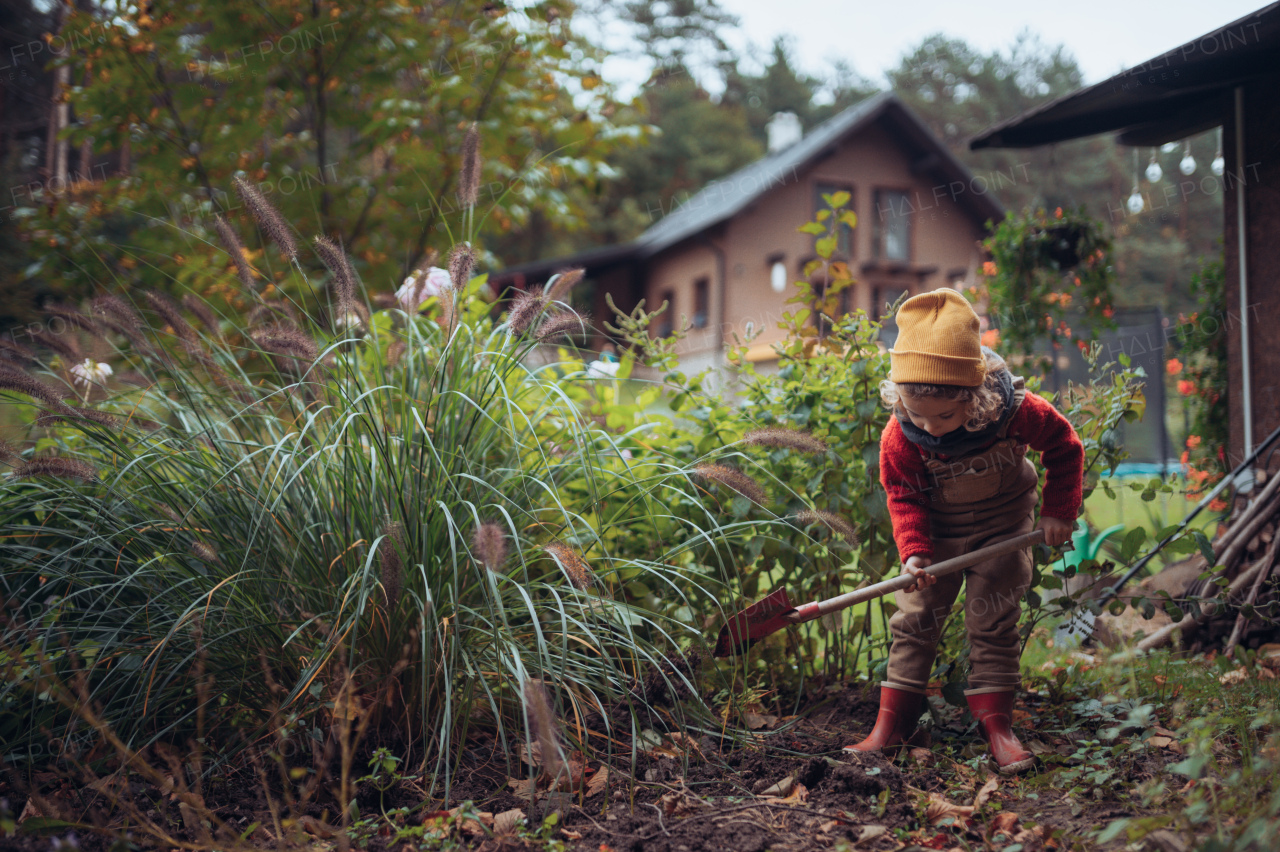 A litlle girl taking care of vegetable garden, spading soil.