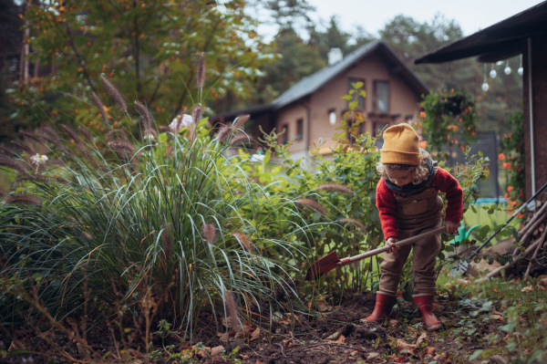 A litlle girl taking care of vegetable garden, spading soil.