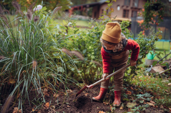 A litlle girl taking care of vegetable garden, spading soil.