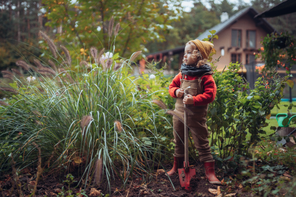 A litlle girl taking care of vegetable garden, spading soil.