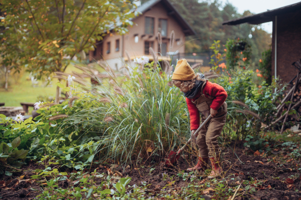 A litlle girl taking care of vegetable garden, spading soil.