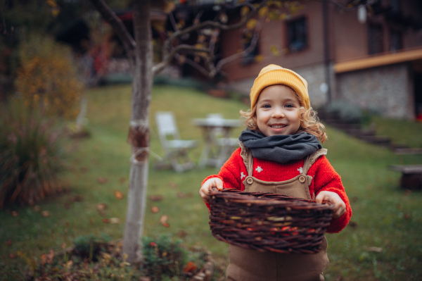 Portrait of happy little girl harvesting bio tomatoes and bio corns in her basket in family greenhouse, looking at camera, smiling.