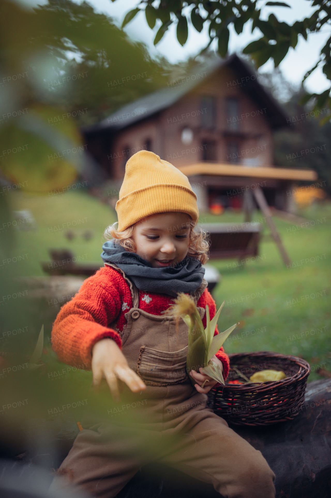 Portrait of happy little girl harvesting bio tomatoes and bio corns in her basket in family greenhouse, resting and, smiling.