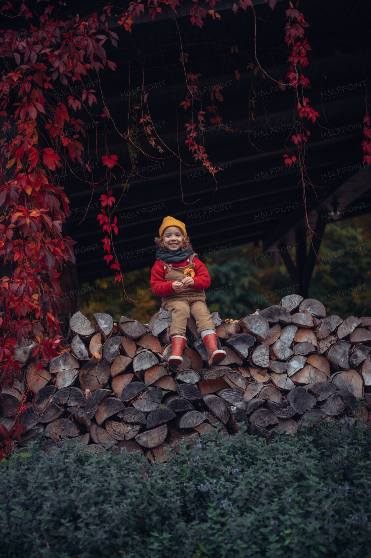 Happy little girl sitting and resting at pile of wood with flower, surrouded by red leaves, during beautiful autumn day.