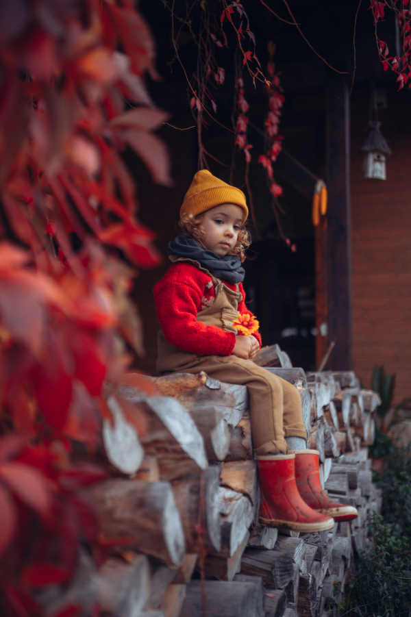 Happy little girl sitting and resting at pile of wood with flower, surrouded by red leaves, during beautiful autumn day.