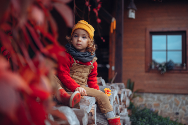 Happy little girl sitting and resting at pile of wood with flower, surrouded by red leaves, during beautiful autumn day.