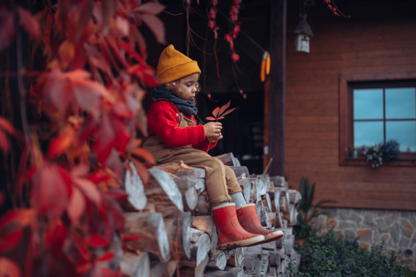 Happy little girl sitting and resting at pile of wood with flower, surrouded by red leaves, during beautiful autumn day.