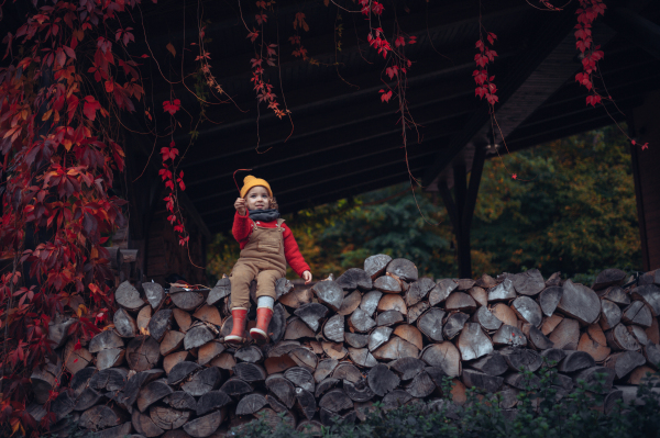 Happy little girl sitting and resting at pile of wood with flower, surrouded by red leaves, during beautiful autumn day.